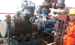 海上平台油汽混输泵