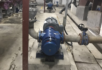 粘胶双螺杆泵现场