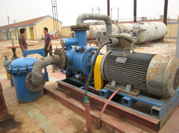 多项混输双螺杆泵