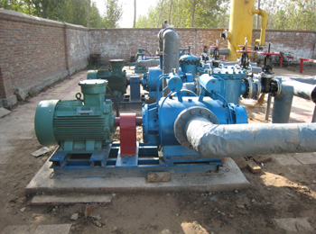 多项混输双螺杆泵