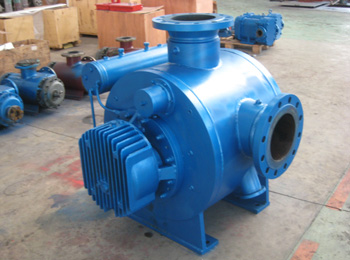 多项混输双螺杆泵