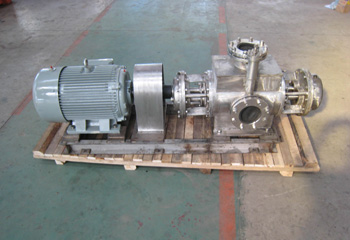 不锈钢双螺杆泵